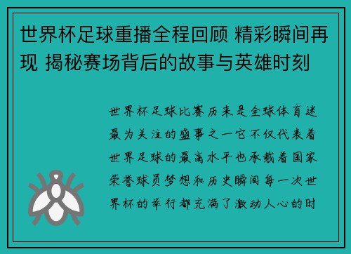 世界杯足球重播全程回顾 精彩瞬间再现 揭秘赛场背后的故事与英雄时刻